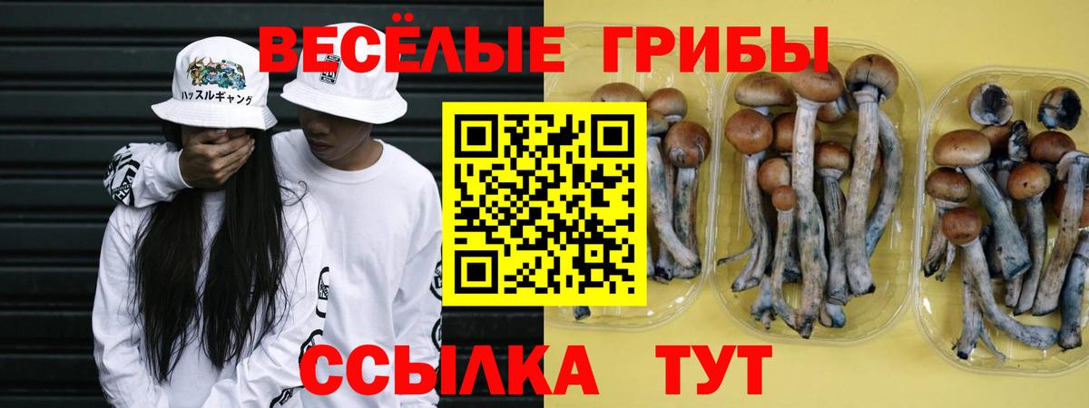Галлюциногенные грибы мицелий Новоалександровск