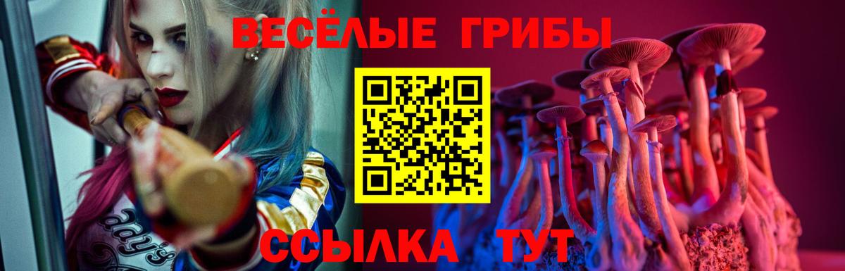 Новоалександровск  Галлюциногенные грибы мухоморы  Вход с VPN 