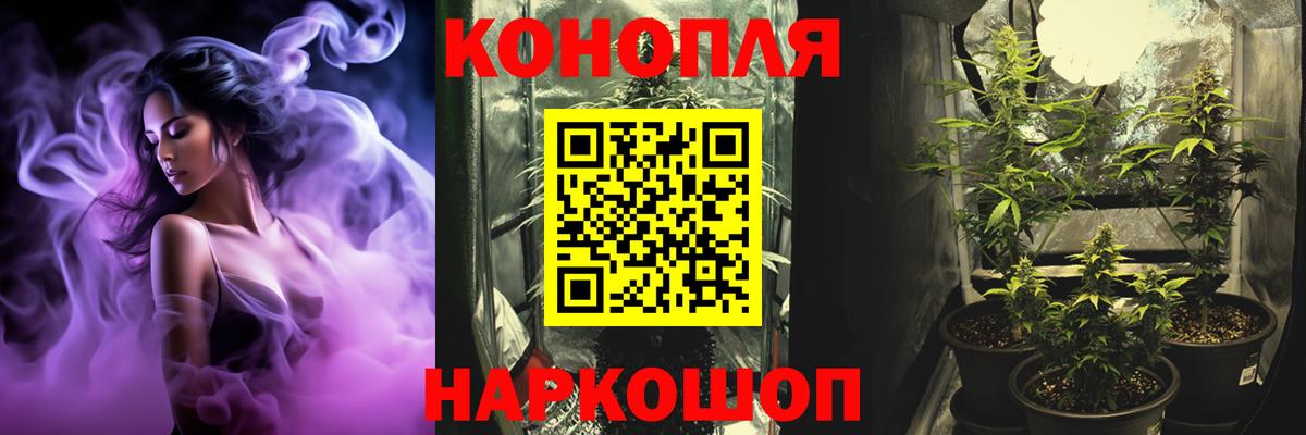 Шишки марихуана Bruce Banner  Каннабис гибрид  Канабис тримм  Бошки Шишки White Widow  Вход с VPN  Новоалександровск 